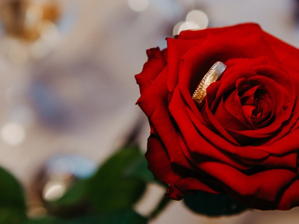 Kleines Imagebild für Ehering in roter Rose